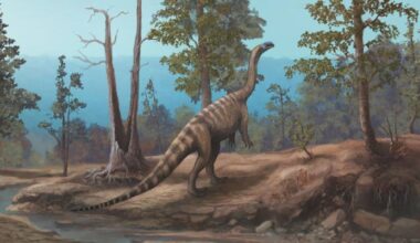 New Species of Triassic Dinosaur Discovered on Shores of Zimbabwe’s Lake Kariba