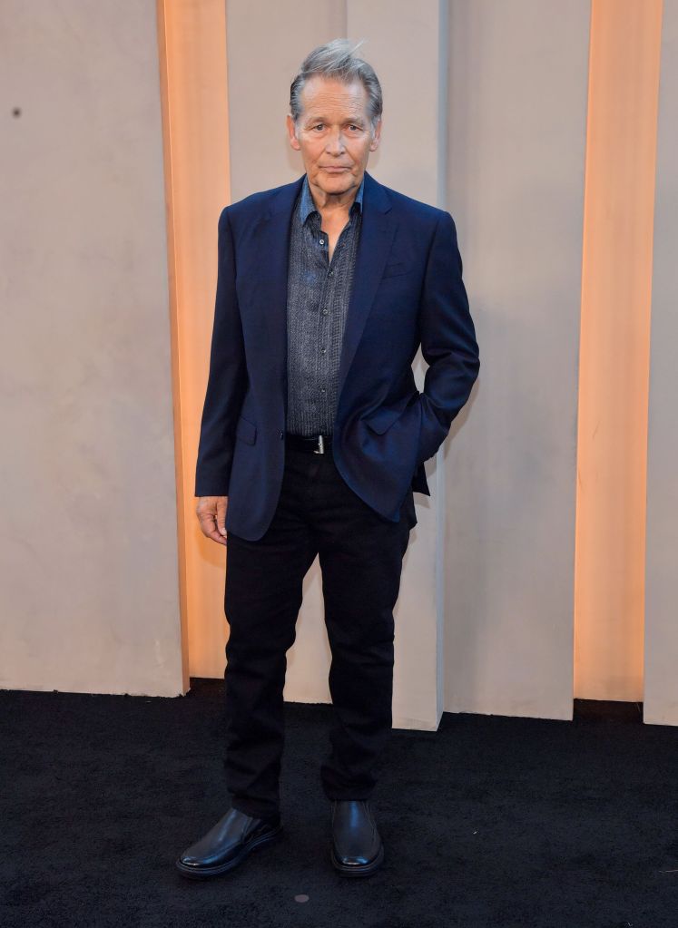 James Remar at the New York premiere of "The Odyssey"
