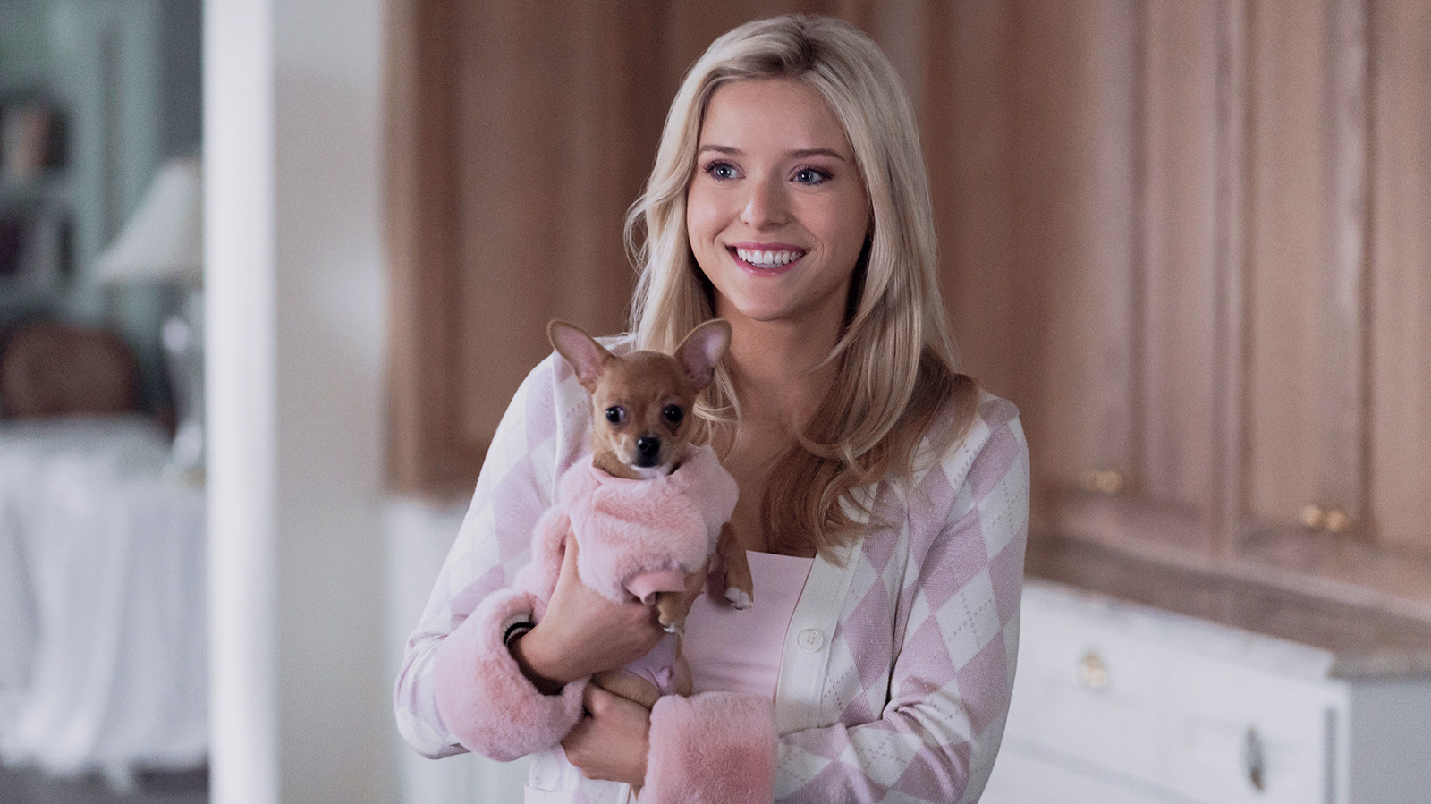Elle's Connection To Legally Blonde Explained: Is Prequel Officially Canon?