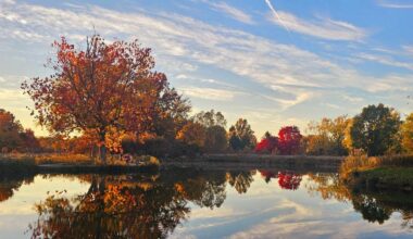 Cleveland's Former Golf Course Is Now A Scenic Ohio Park With Rolling Hills, Wildflowers, And Wildlife
