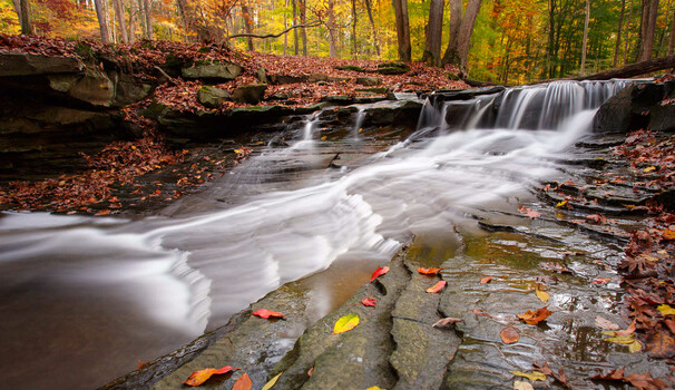 Essential Landscape Gear for Beginners
