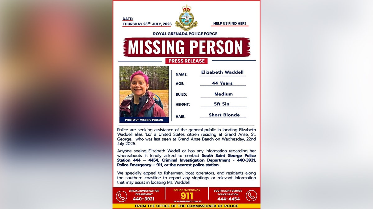 Liz Waddell missing person poster