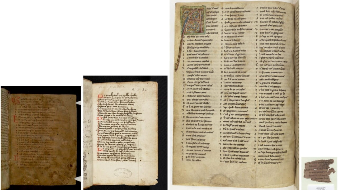Up to 60% of medieval texts and 95% of manuscripts have vanished, study finds