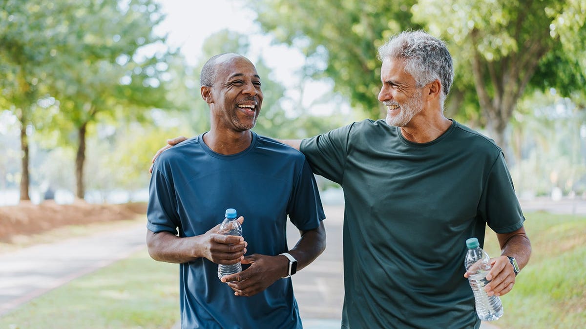 Older men on a walk together