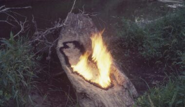 a photographic artwork by Ana Mendieta documenting an outline of gunpowder on a dead log, half ignited