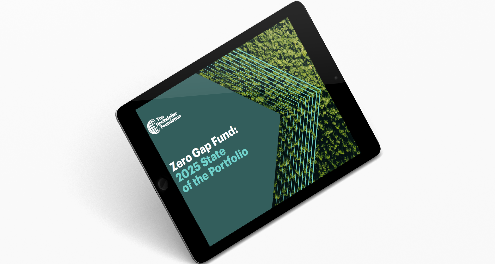 Zero Gap Fund: 2025 State of the Portfolio