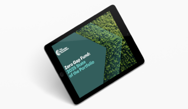 Zero Gap Fund: 2025 State of the Portfolio