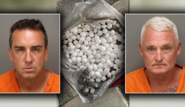 St. Pete Beach mothballs: Two men arrested in plot to disrupt nesting shorebirds