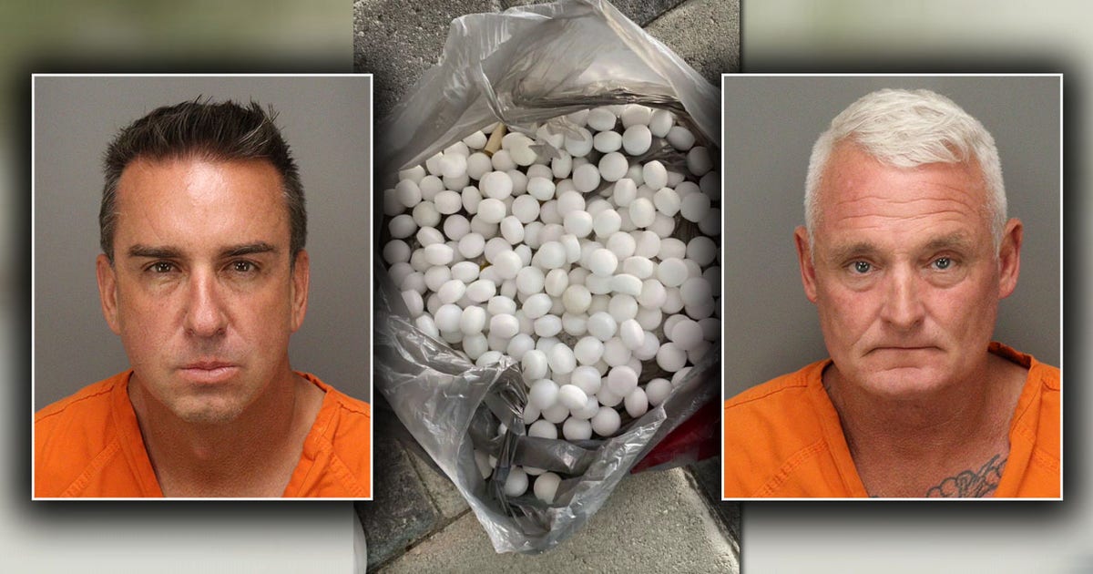 St. Pete Beach mothballs: Two men arrested in plot to disrupt nesting shorebirds