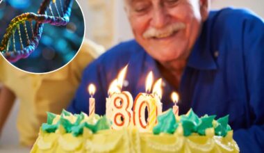 The longest humans could live, even if we beat aging: study