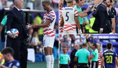 Bosnia coach grabs ball, gets yellow card in World Cup loss to USMNT