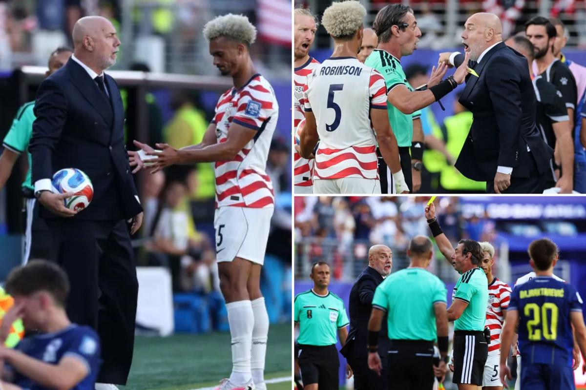 Bosnia coach grabs ball, gets yellow card in World Cup loss to USMNT