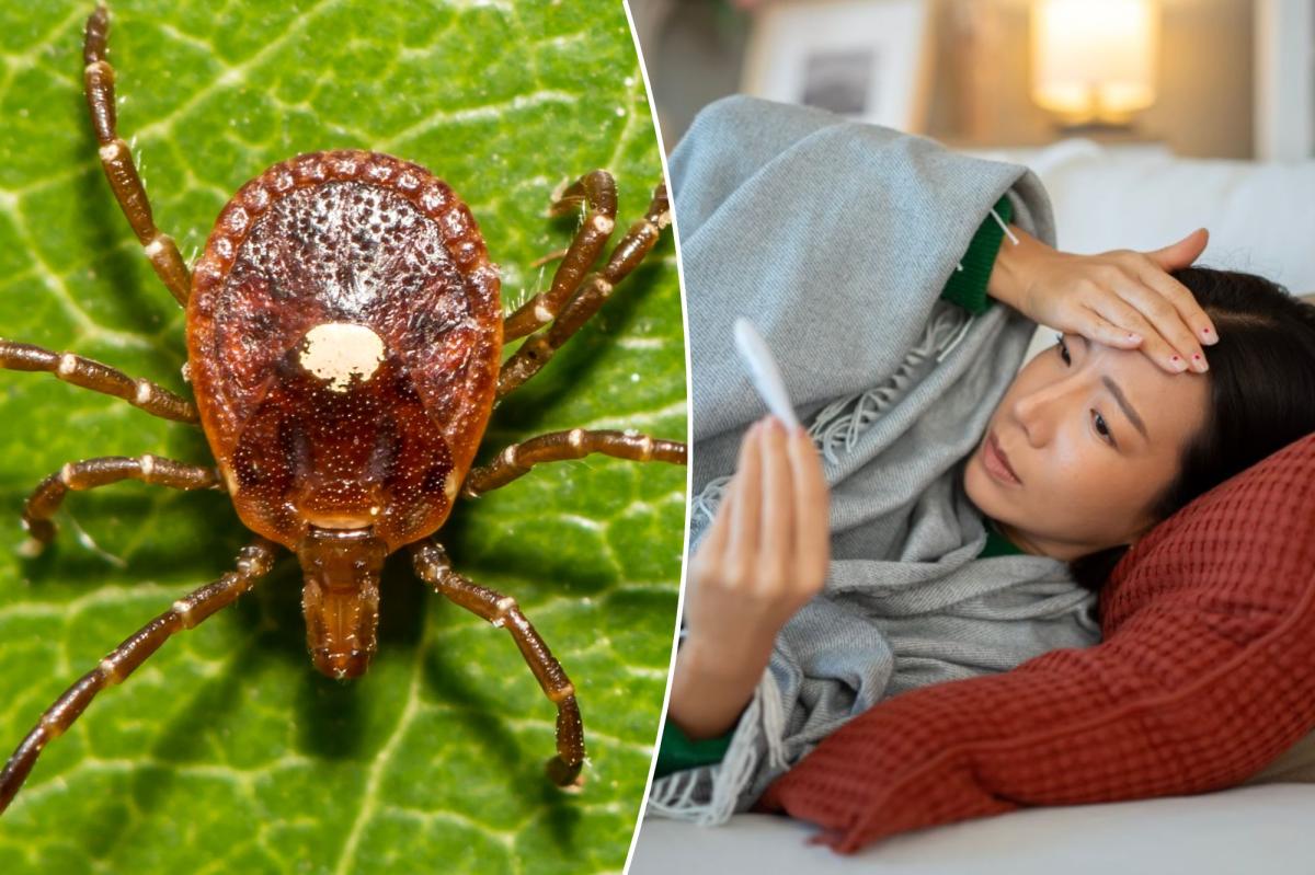 First case of potentially fatal Bourbon virus confirmed in New York