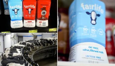 Coca-Cola's milk brand halts US production after 'unauthorized access' breach