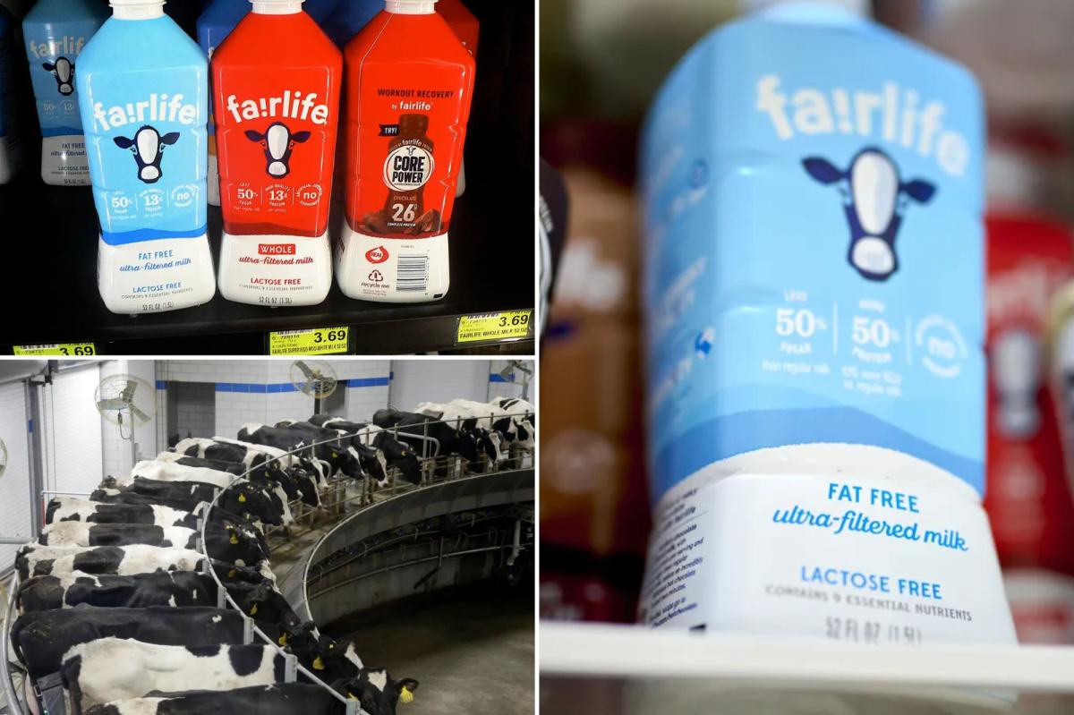 Coca-Cola's milk brand halts US production after 'unauthorized access' breach