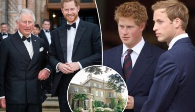 What Prince Harry and King Charles' symbolic reunion location means for royal rift