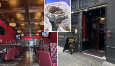 California city OKs law allowing Amsterdam-style cannabis cafes