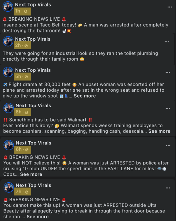 Six posts from the Next Top Virals Facebook page. The posts are timestamped to one, two, five, six, six and seven hours ago.