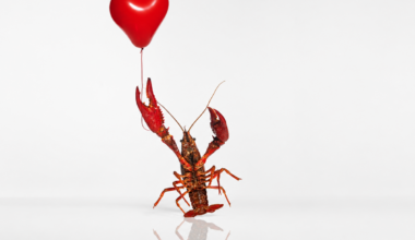 lobster holding heart-shaped balloon