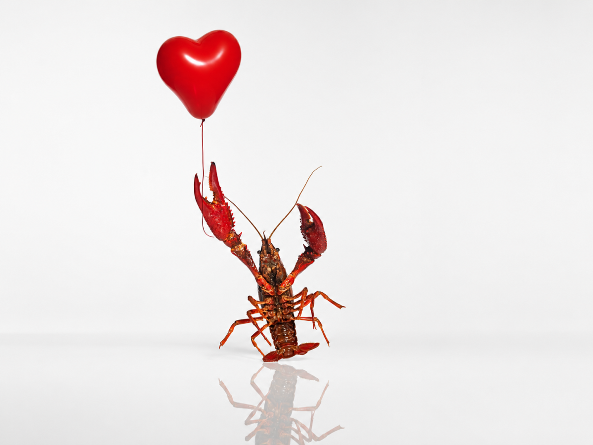 lobster holding heart-shaped balloon