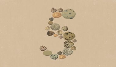 An abstract image of the number 5