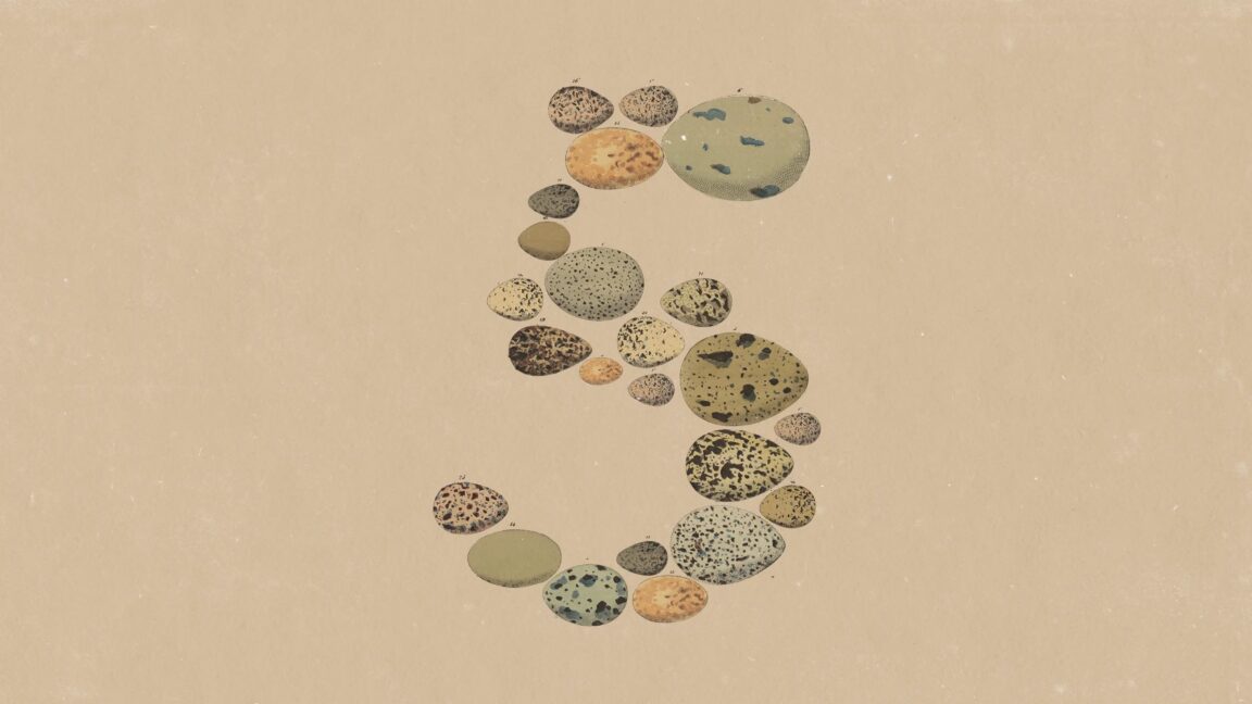An abstract image of the number 5