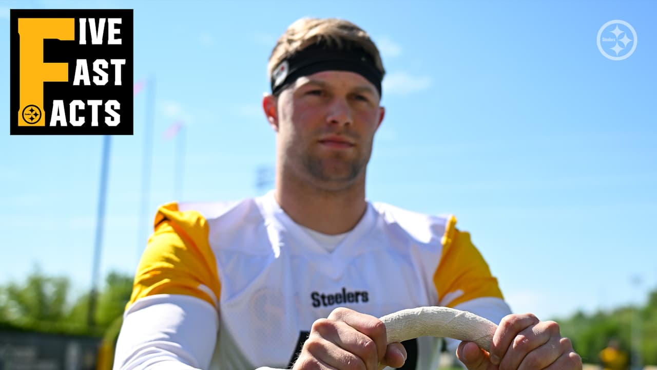 Pittsburgh Steelers logo