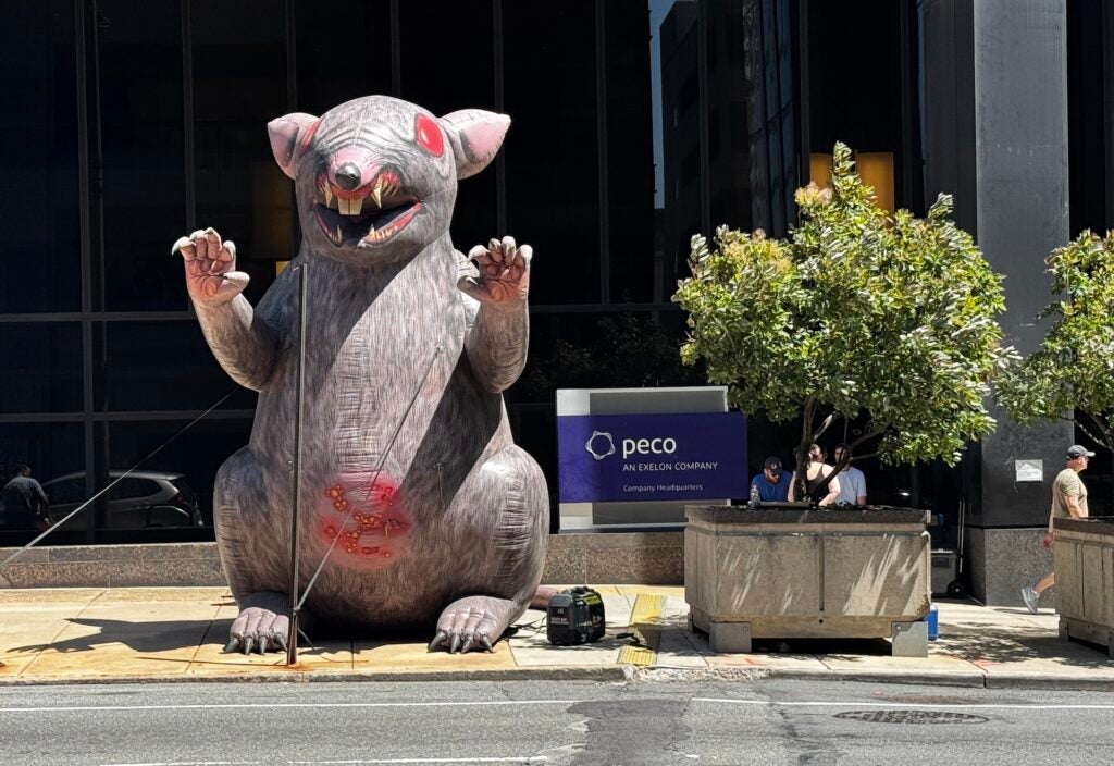 A large inflatable rat outside of PECO headquarters.