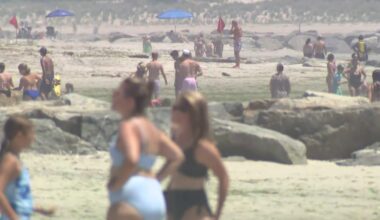 Sharks spotted near Rockaway Beach in Queens and off Long Island at Point Lookout