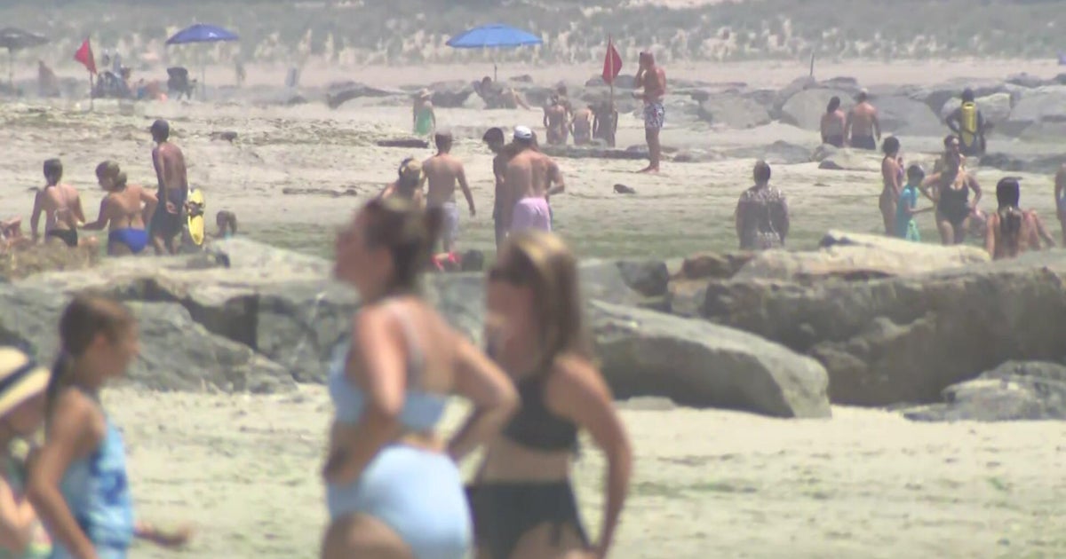 Sharks spotted near Rockaway Beach in Queens and off Long Island at Point Lookout