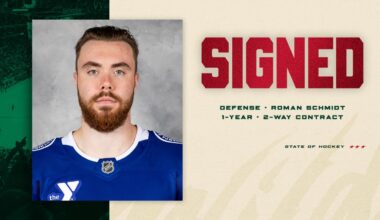 Minnesota Wild Signs Defenseman Roman Schmidt to a One-year, Two-way Contract