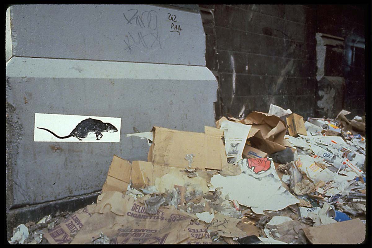 rat rupp