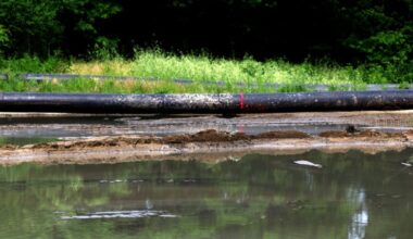 Sewage overflow issue in Merrimack River is resolved, officials say, although some beaches are still closed