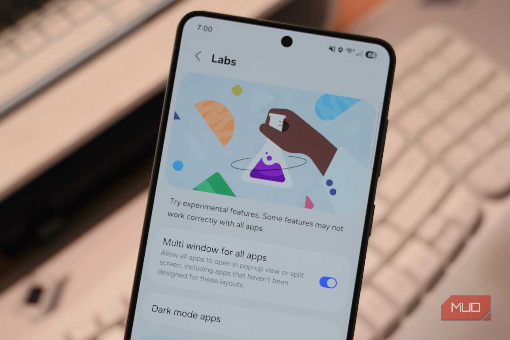 Multi-window for all apps on the Galaxy Labs page.