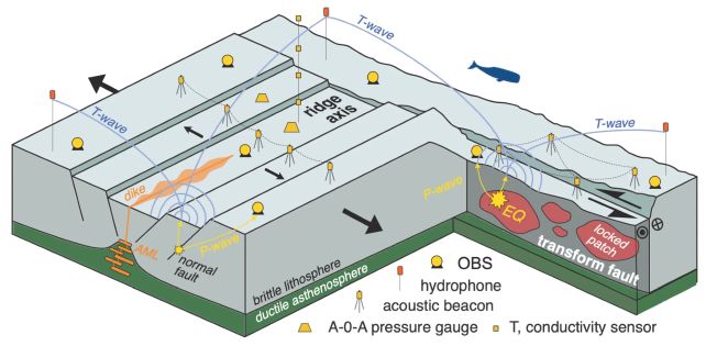 Scientists Have Watched a Piece of Earth's Oceanic Crust Being Born For The First Time