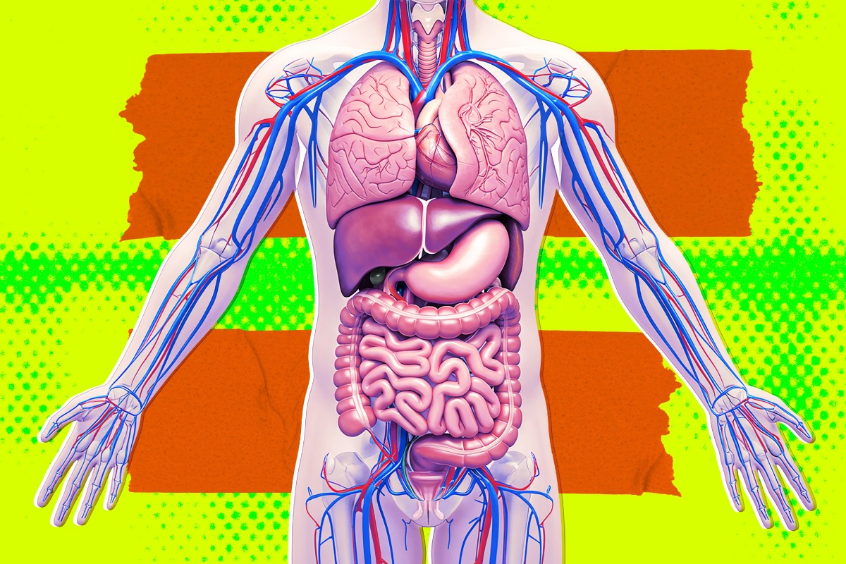Secretive Silicon Valley Startup Tries to Quash Interview, Says It’s Definitely Not Working on Growing Brain-Free "Organ Sacks"