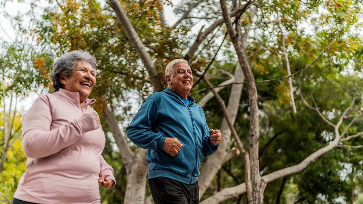 A pair of senior citizens goes on a run.