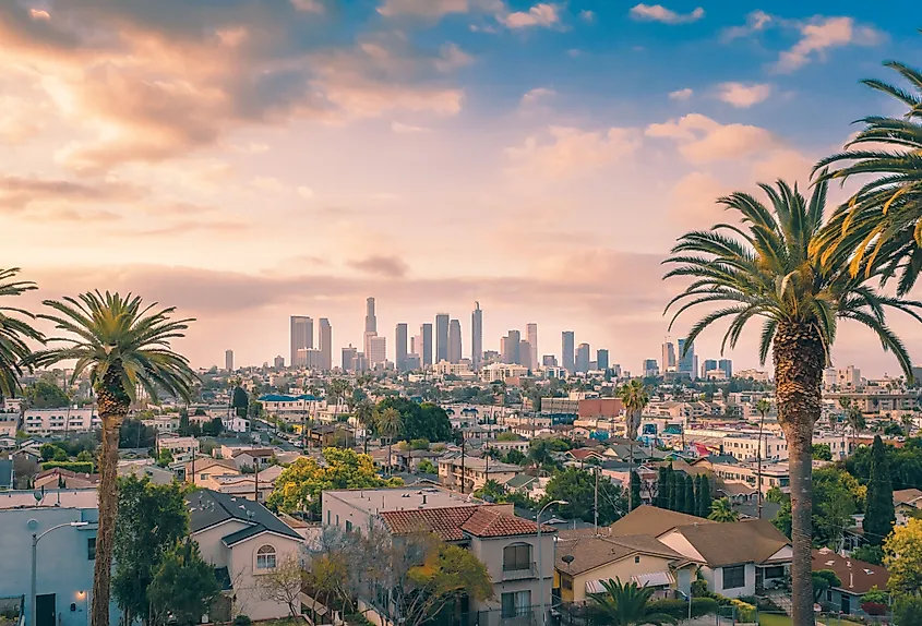Los Angeles skyline at sunset with palm trees.