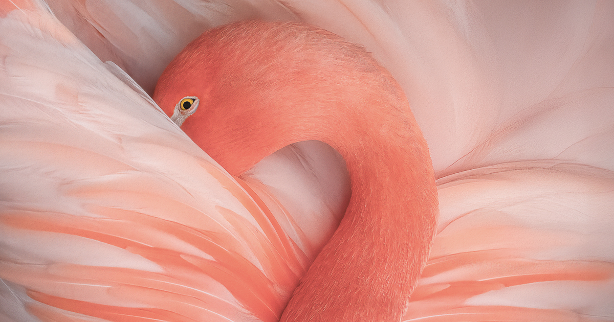 9 Nominees in the All-Encompassing Siena International Photo Awards Festival 2026
