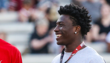 south carolina gamecocks db josh dobson