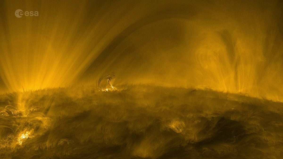 The Longest Journey Sunlight Ever Takes Happens Before It Leaves The Sun : ScienceAlert