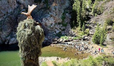 9-Year-Old Wyoming Boy Dresses Up As A 'Swamp Moose' Just To Confuse Tourists