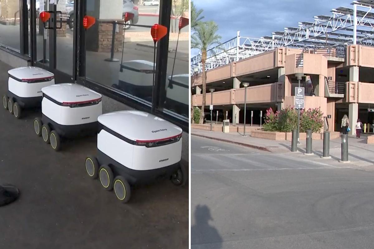 Arizona senior citizen sues after being hit by food delivery robot