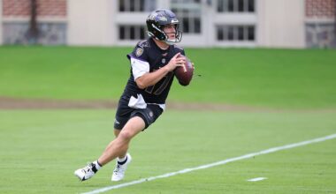 Baltimore Ravens logo