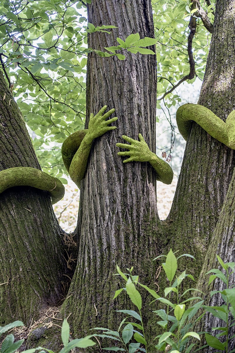 have you ever hugged a tree? monsieur plant wraps sculptural human arms around trees - 2