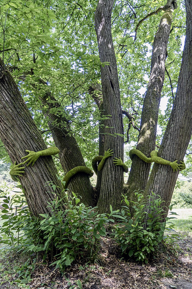 have you ever hugged a tree? monsieur plant wraps sculptural human arms around trees - 1