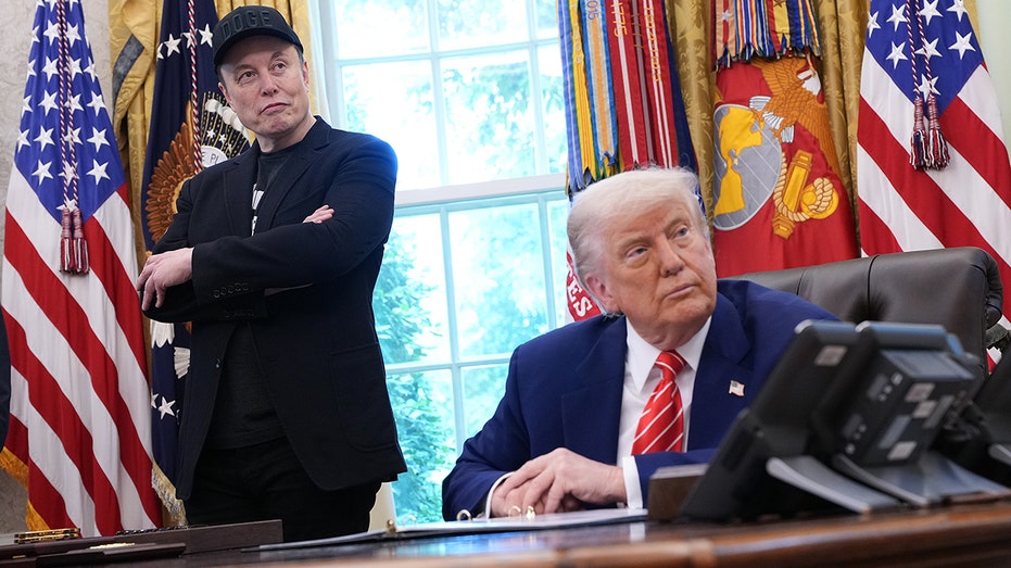 Elon Musk and President Donald Trump