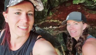 Wyoming women escape black bear attack on their tents in the Big Horn Mountains