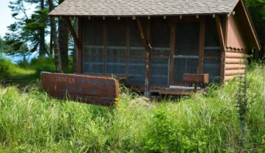 2nd campground closes on Isle Royale after increased wolf activity