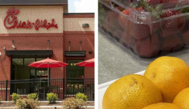 Is it cheaper to pack your lunch or buy it? An economist examines the cost